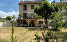 Charmant F1 avec terrasse et vue sur jardin arboré - fraicheur naturelle du rez de jardin - parking
