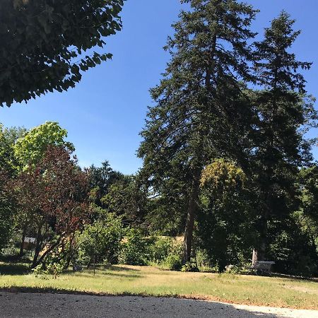 Charmant F1 avec terrasse et vue sur jardin arboré - fraicheur naturelle du rez de jardin - parking Bellerive-sur-Allier Extérieur photo