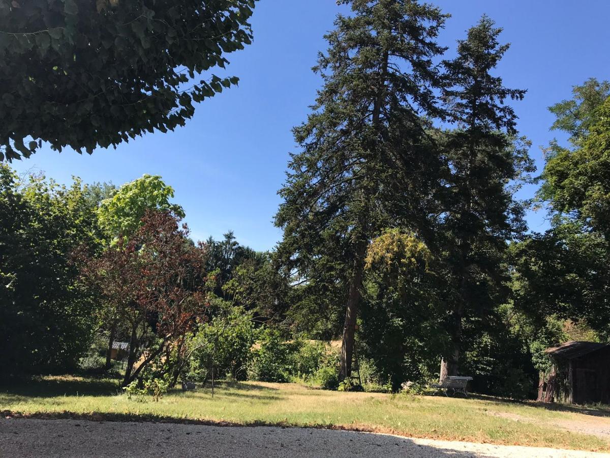 Charmant F1 avec terrasse et vue sur jardin arboré - fraicheur naturelle du rez de jardin - parking Bellerive-sur-Allier Extérieur photo